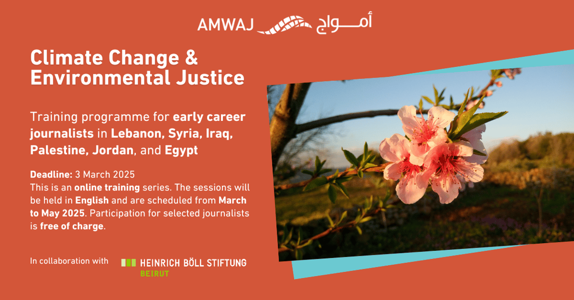 AMWAJ_Media Fellowship_Li (1)