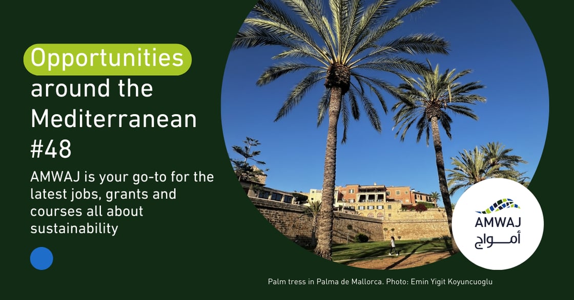 AMWAJ_Opportunities_MED_Li (4)