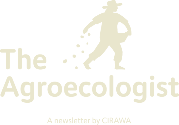CIRAWA_Newsletter_Logo_tz_1-1