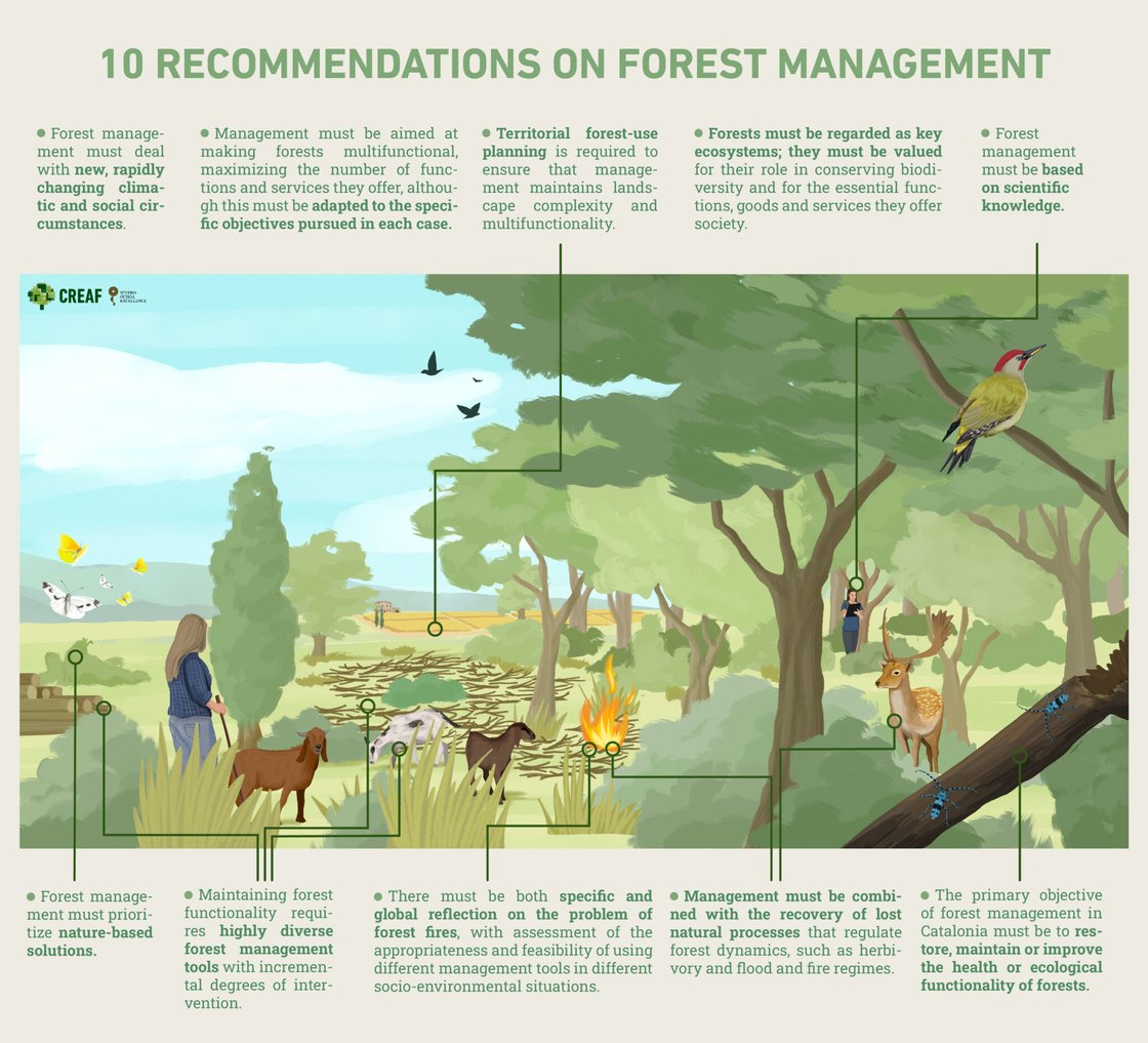 CREAF_Decalogue-10-proposals-Med-forests_Copyright-image-Laura-Fraile-2048x1860