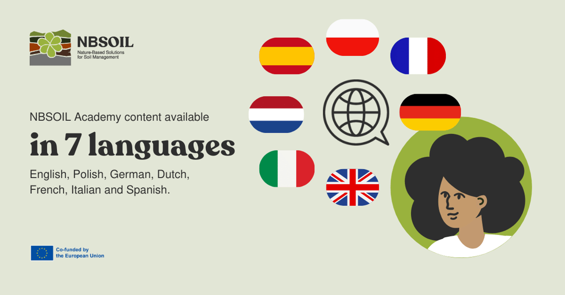 NBS_Academy_Languages_Post_Li