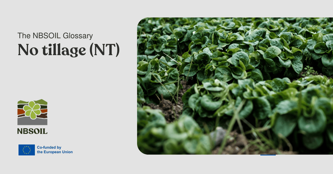 No_tillage_(NT)