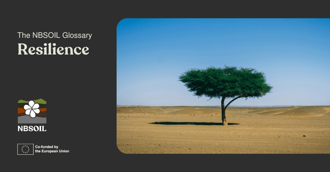 Resilience