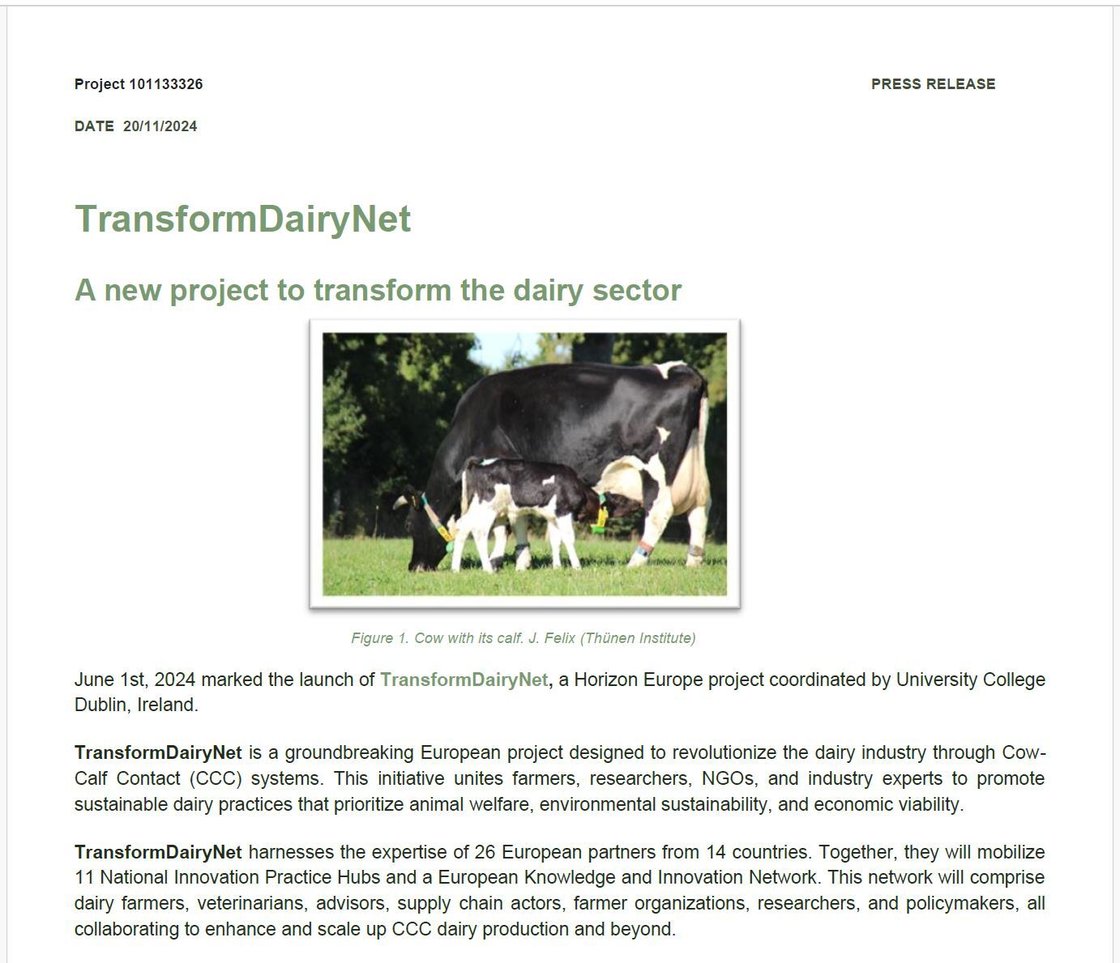 Press Release TDN screenshot