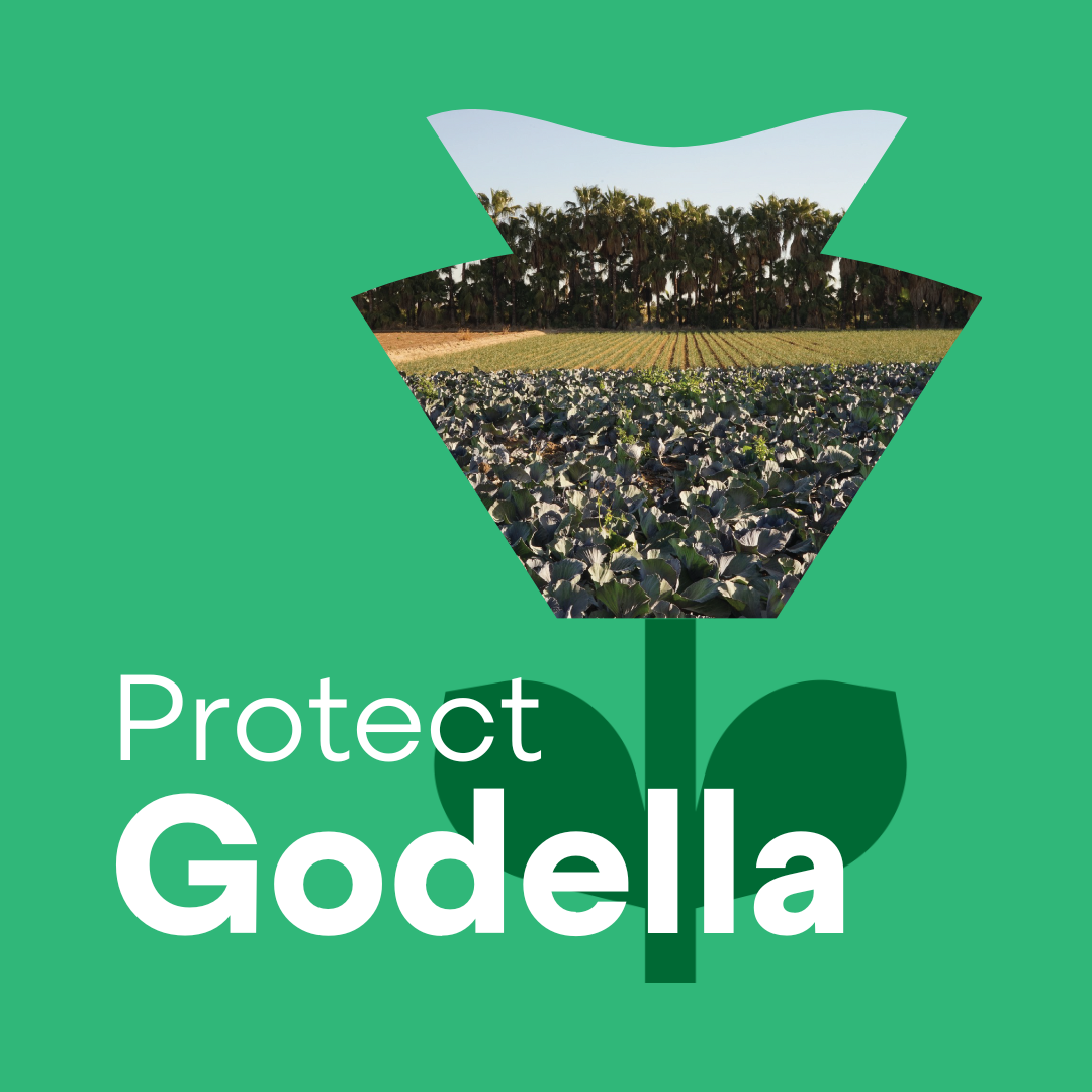REV_AMWAJ_Promo_Godella (1)