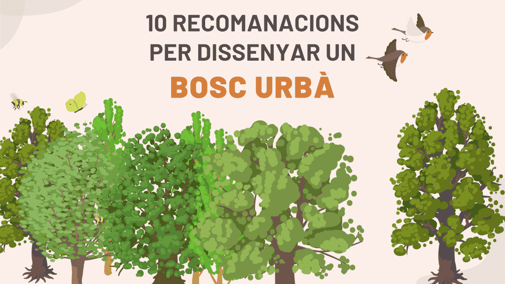 Recomanacions_bosc_urba-1024x576-1