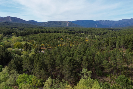 Restoring Iberia’s Landscapes